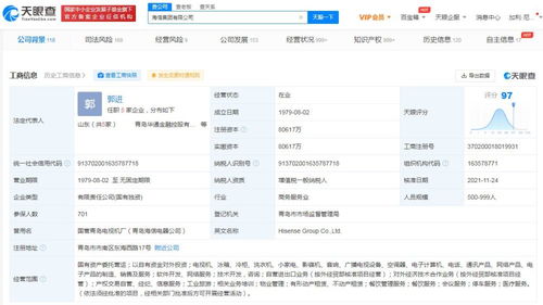 自有资金对外投资的策略与风险管理
